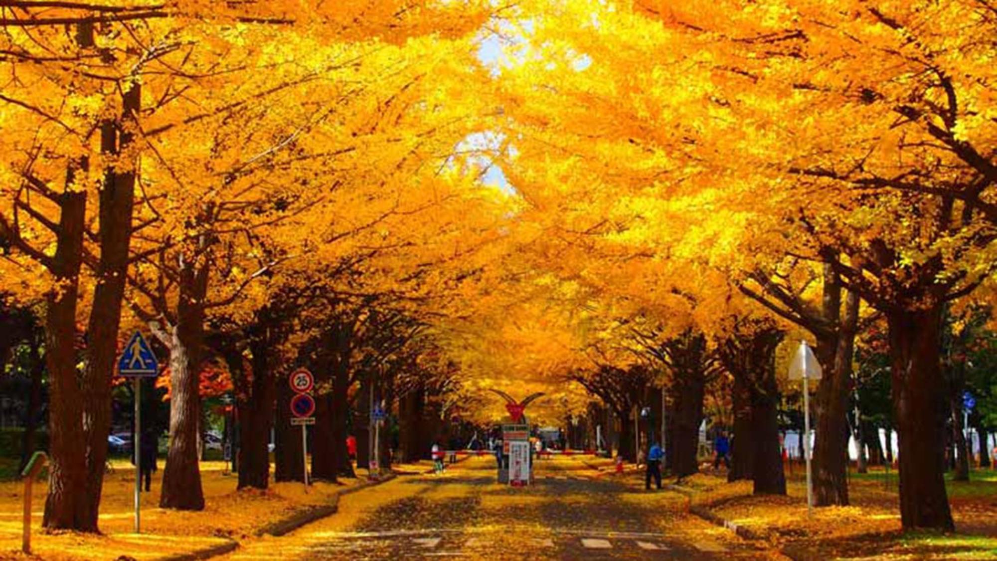Toyoko Inn Hokkaido Sapporo-Eki Nishi-Guchi Hokudai Mae Zewnętrze zdjęcie